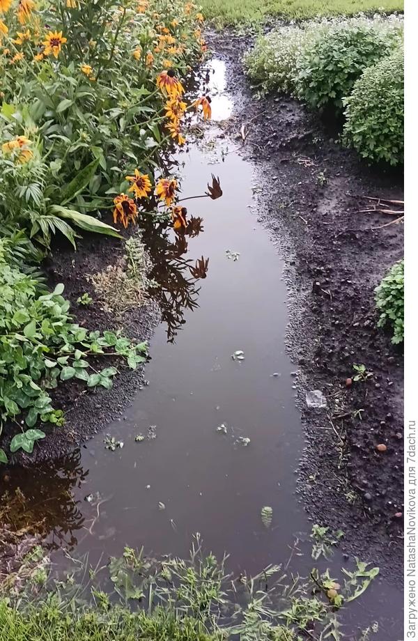 Вода, опять вода
