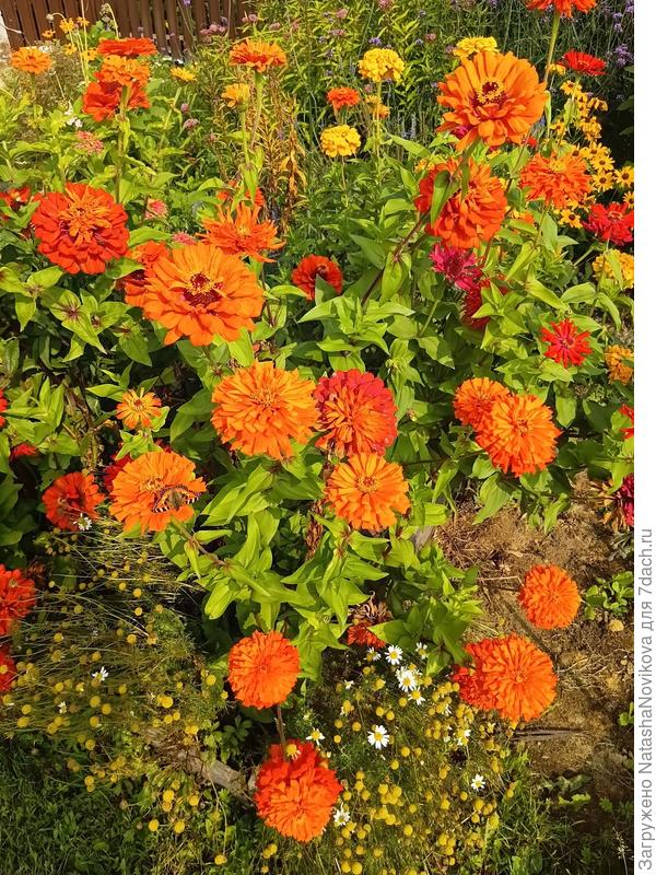 Солнечный позитиииив😀