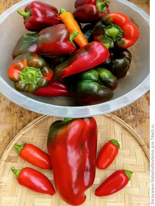 Вкуснота и красота 25 июля😀
