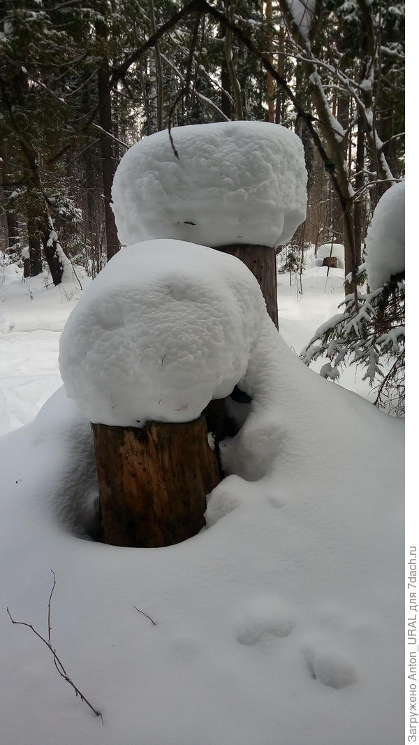 Снежные шапки