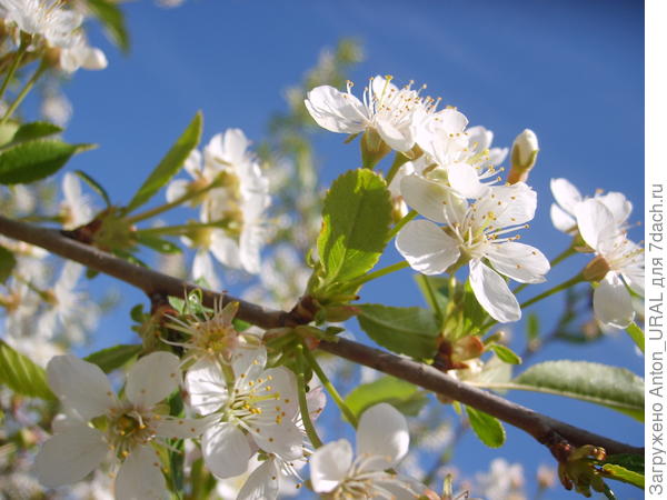 И тёплого, солнечного лета!