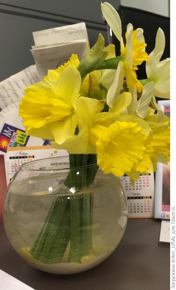 Мои поздравления призёрам!