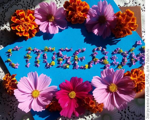 Поздравляю с победой!