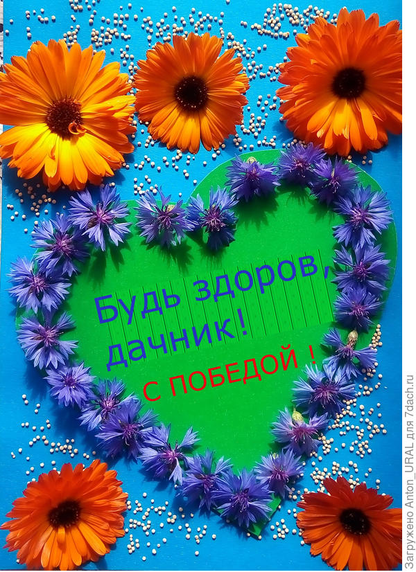 Мои поздравления призёрам!