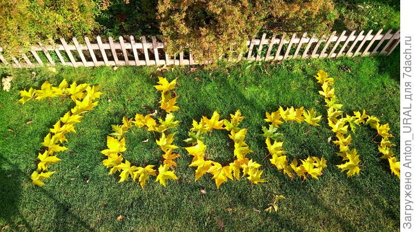 И лист кленовый стал на солнце золотой. Вновь осень землю осыпает красотой!