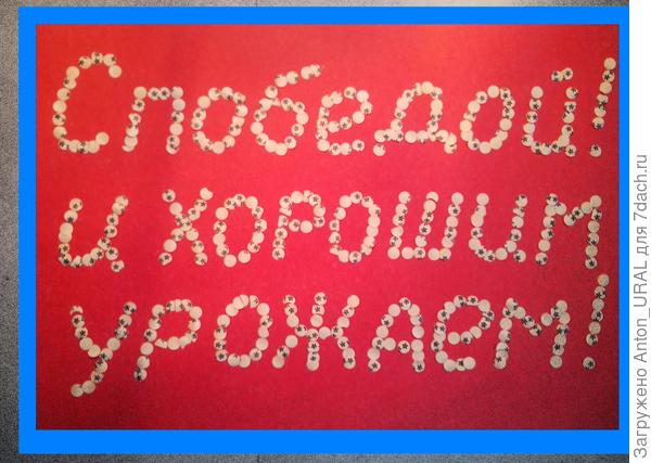 Поздравляю победителей!