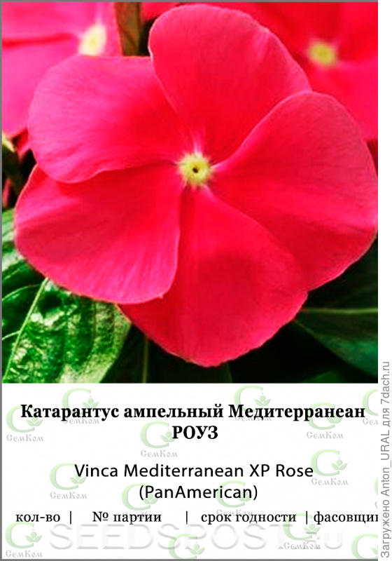 пв