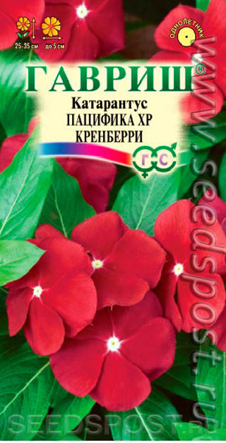 папв