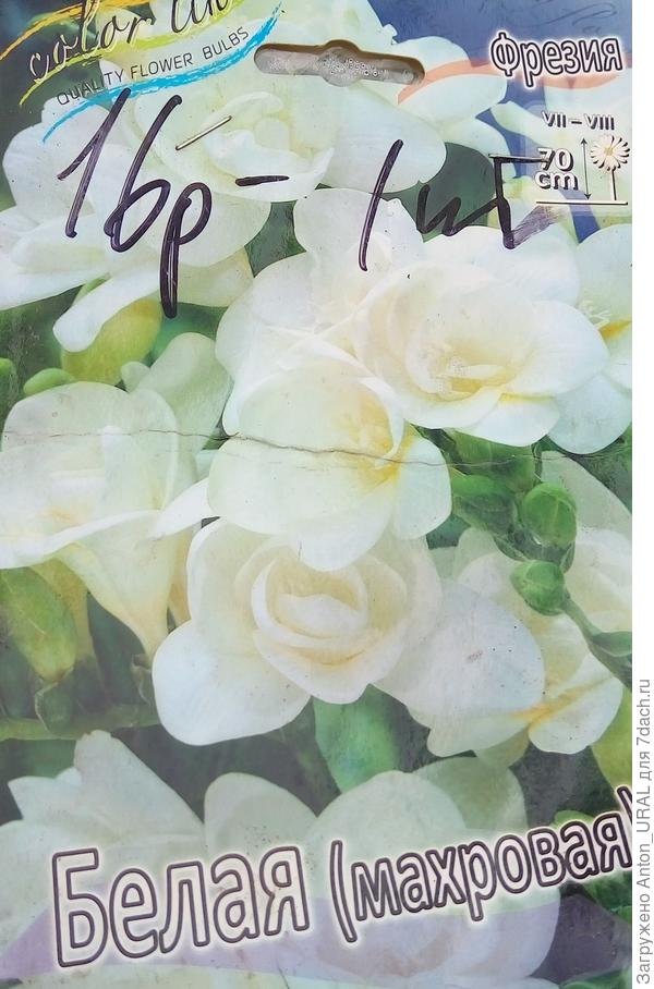 Сорт к сожалению на упаковке не был указан