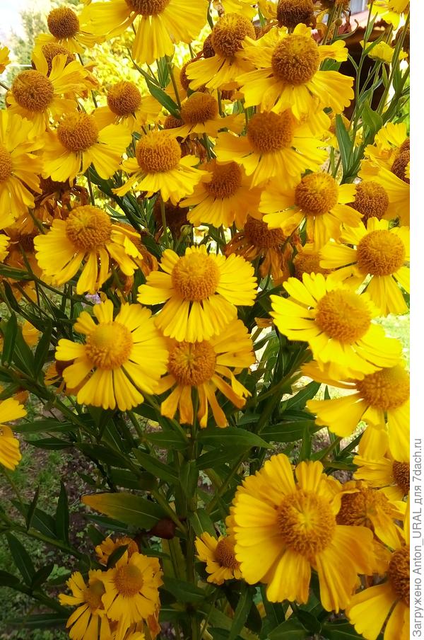 Поздравляю с победой! Фотографии замечательные.