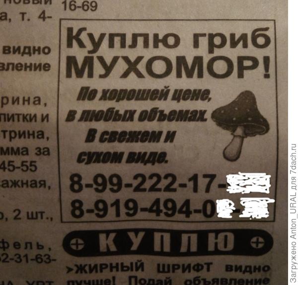 Объявление в газете