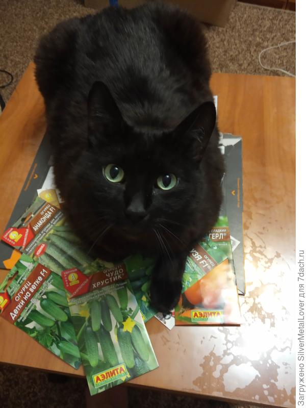 ответственная комиссия приняла вес семена))))