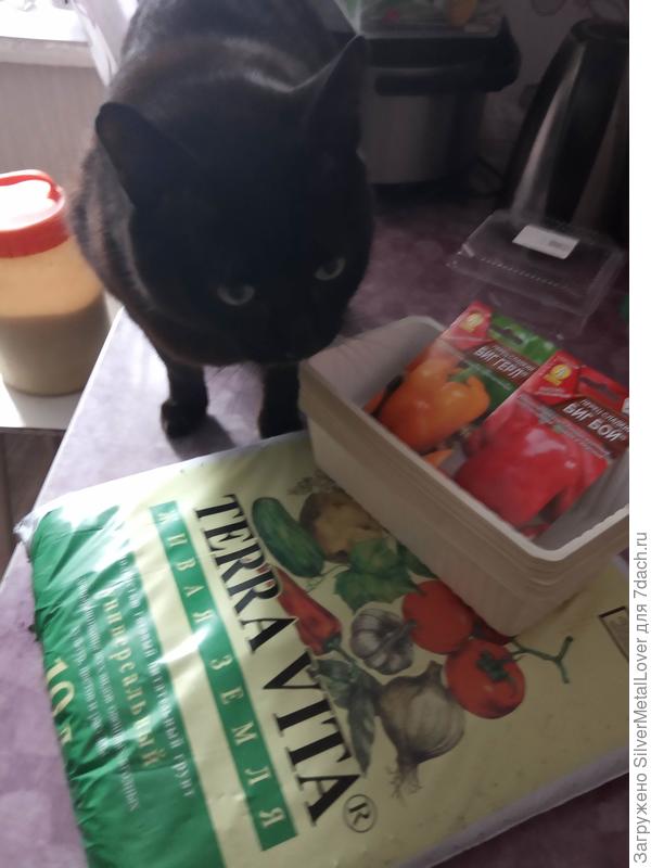 Ну без одобрения &amp;laquo;Ответственной комиссии&amp;raquo; никуда