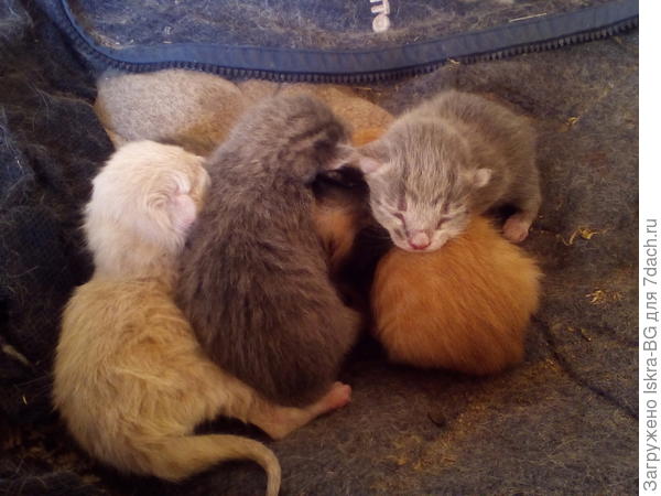 Когда тебе 20 часов отроду