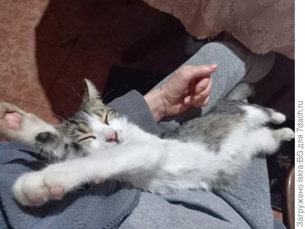 Первую неделю не слазил с рук