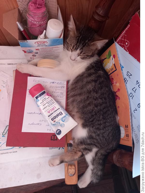 Обязательно надо было втиснуться в мой хламовник