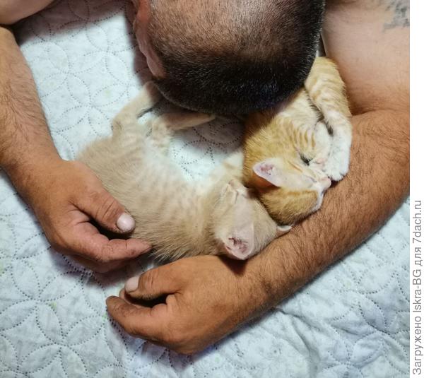 Пользуясь тем, что хозяин заснул...