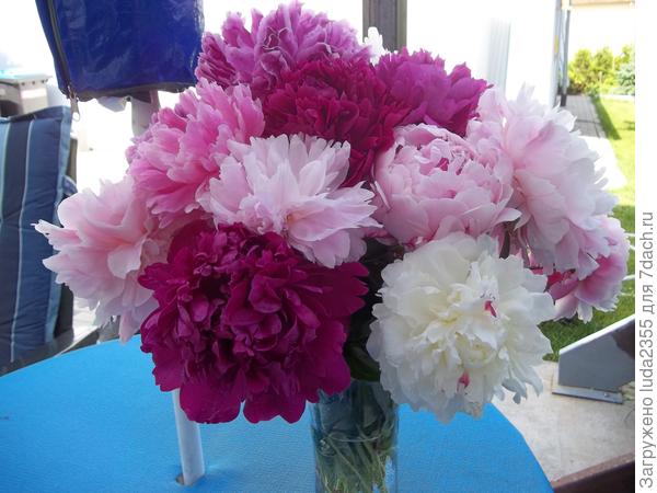 Вот такими они были раньше.