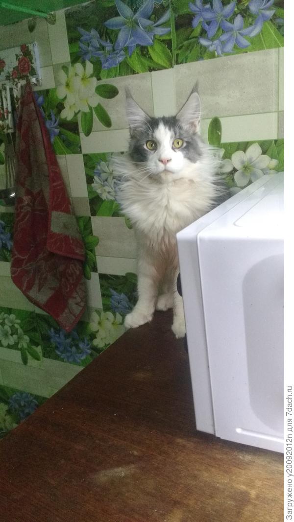 Фото &quot; террориста &quot;.