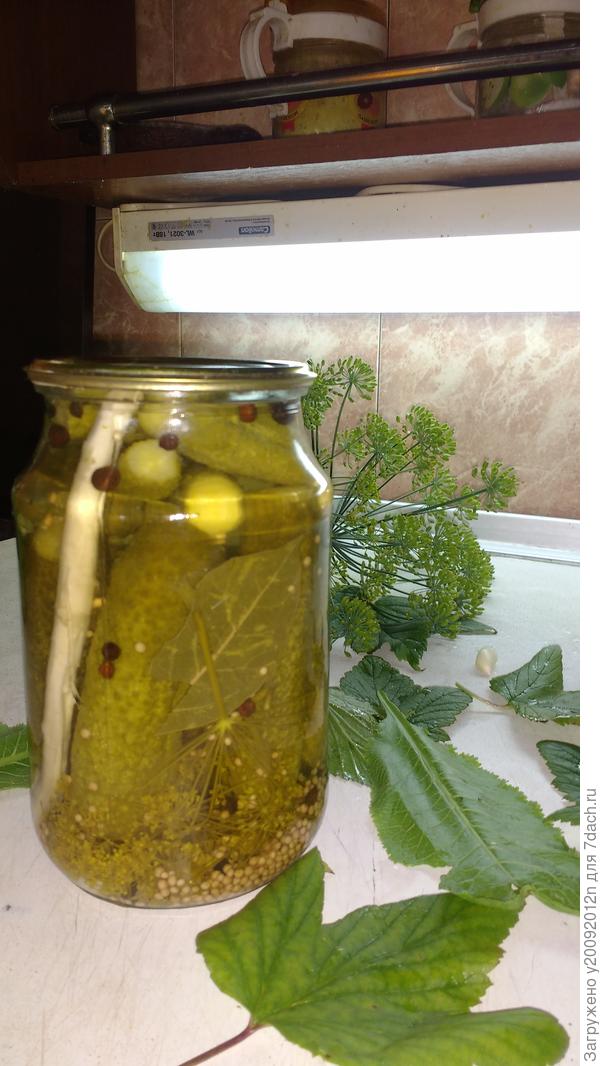 Такие вот уксусные огурчики.