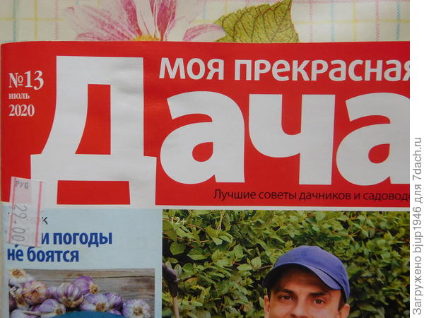 Обложка журнала.