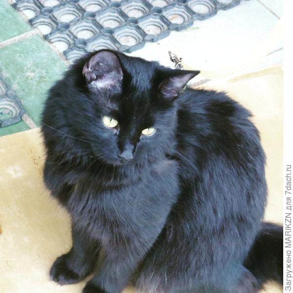 Такая милая девочка!