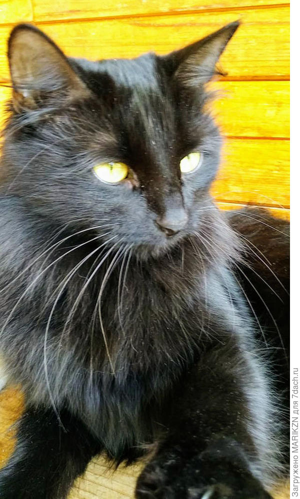 Я - Люся! Давай дружить!