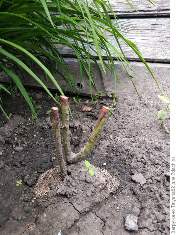 Вот эта  вообще частично в тени получается. Тоже не трогать?