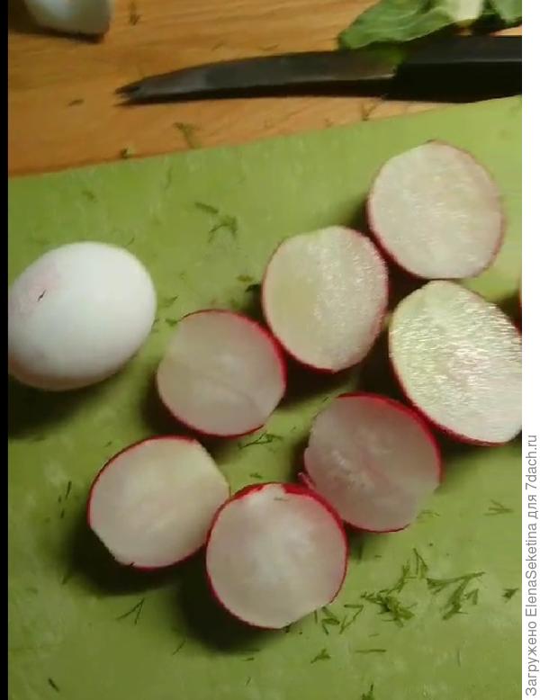 Редиска сочная, хрустящая!