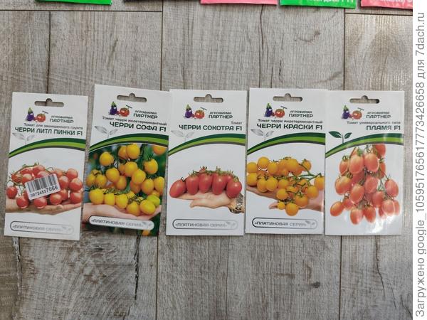 Новые звери - первые три черрика, с Красками я тоже пять лет знакома, идеальное детское лакомство, из нельзя консервировать, получится помидорный компот. Пламя я в итоге убрала из списка, он полудет, уже садила пару лет назад, останется для улицы.