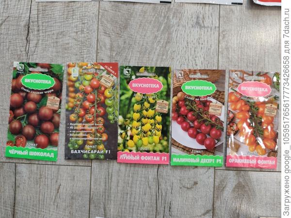 Проверенные годами сладушки, я их даже не консервирую, это прям любовь на всю жизнь.  Из списка убрала Бахчисарай, вкусный, но мелковат.