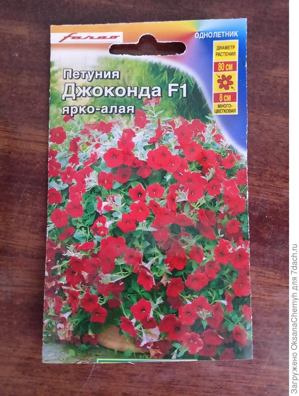 Второй опы посева петунии. Ни разу не выращивала. Всё ею восхищаются. Решила и я заполнить пробел в опыте. В прошлом году ничего не взошло. В этом году сеяла из такого пакета.