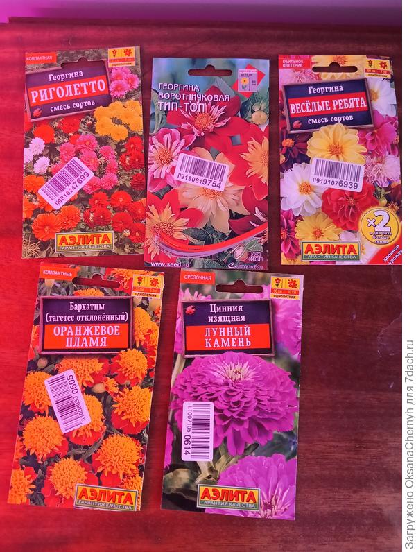 Видя это безобразие, 24 апреля посеяла ещё эти.