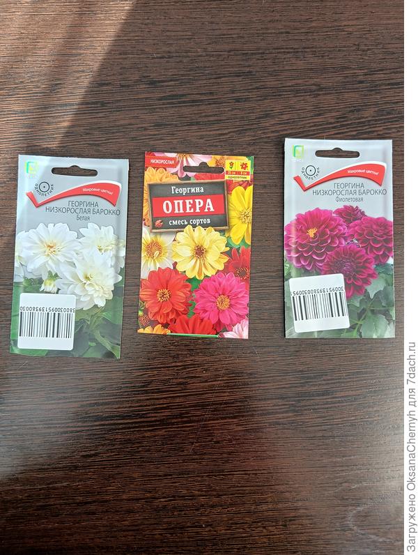 Здравствуйте, цветоводы-любители. В этом сезоне посеяла такие цветы 3 апреля.