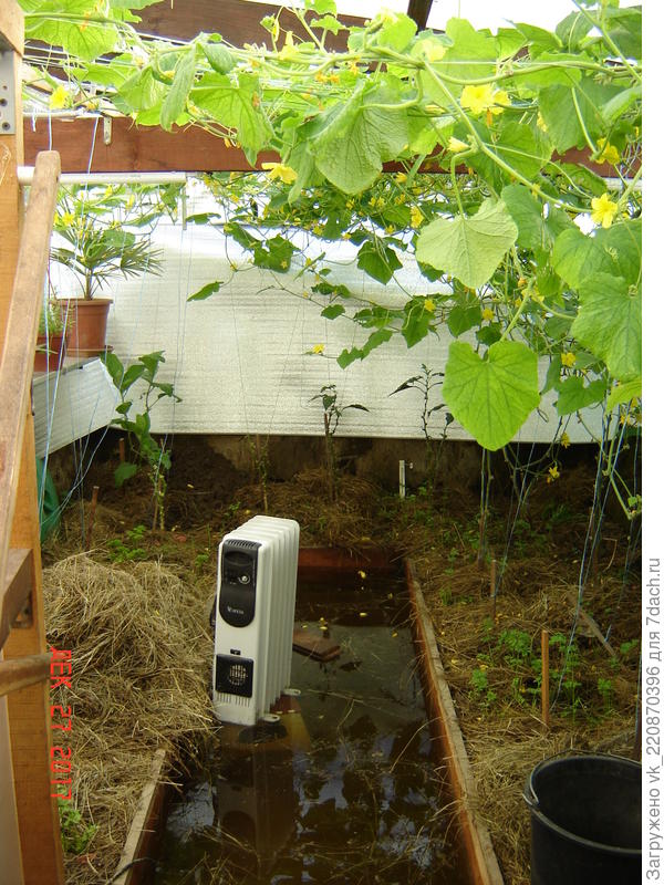 это батарея и потоп , каких за три года было уже два