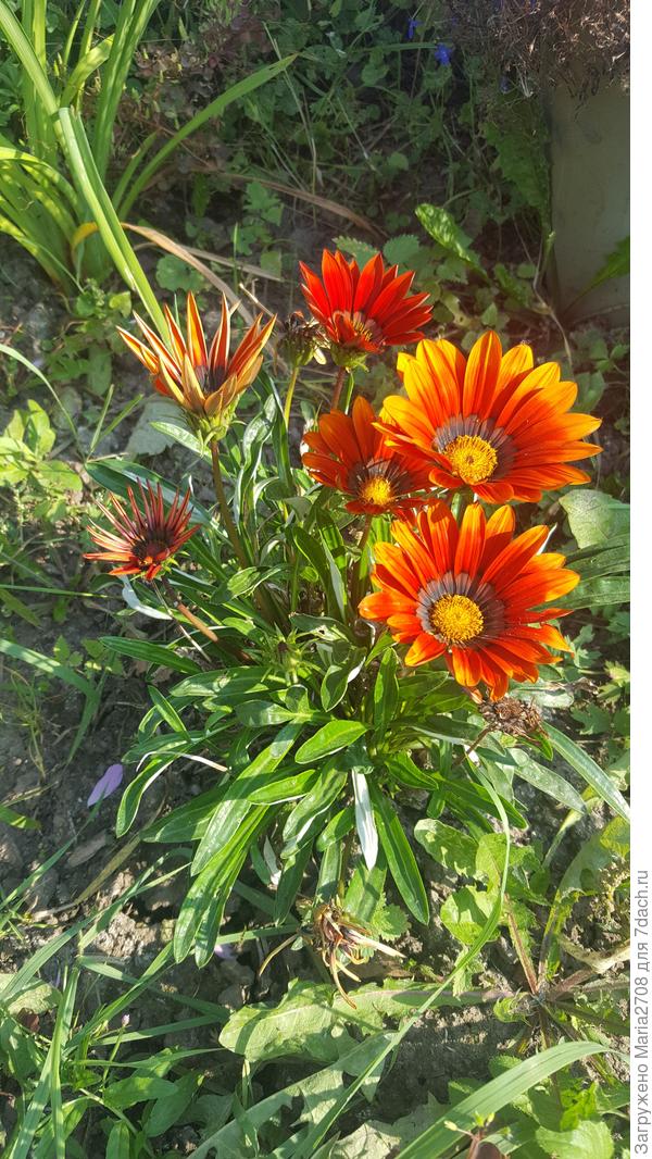 Гацания в сентябре.