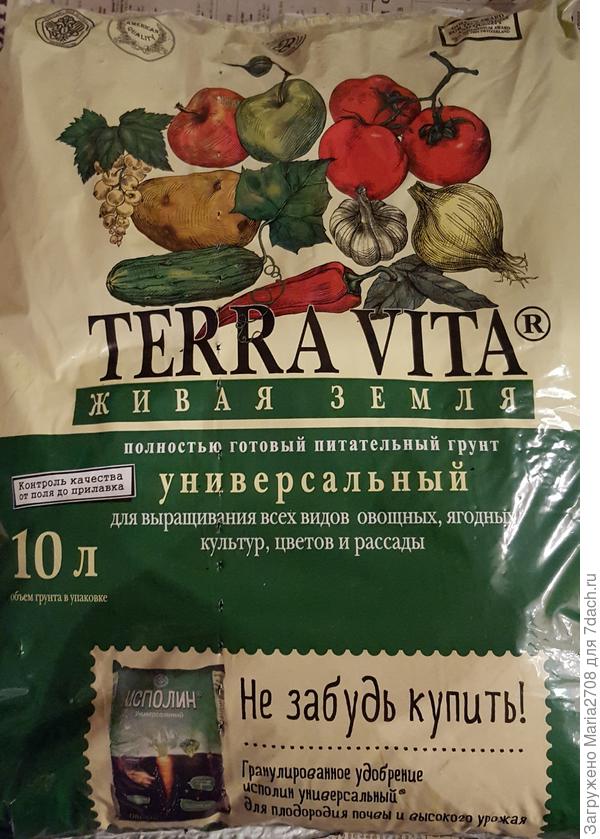 Грунт