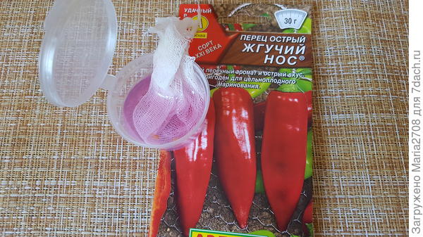 В марганцовке