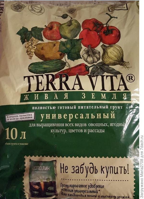 Грунт