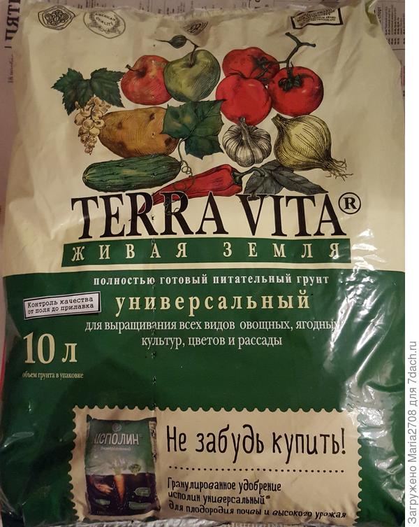 Грунт
