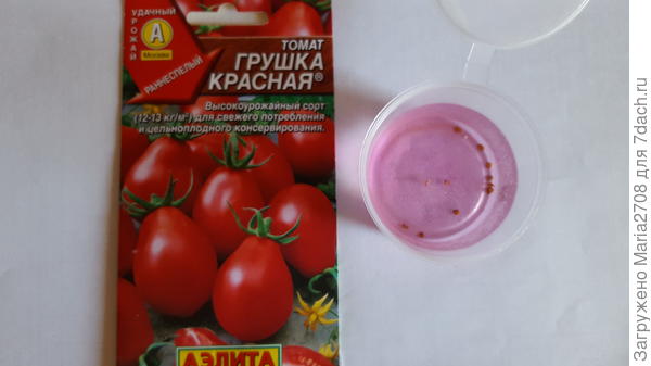 В марганцовке