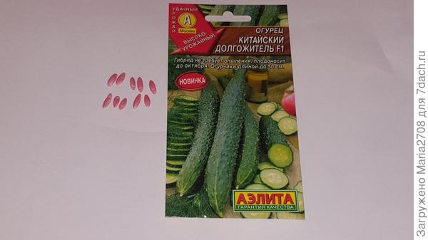 Семена