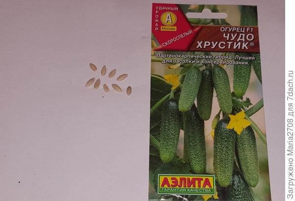 Семена