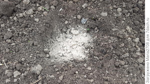 Добавила горсть золы