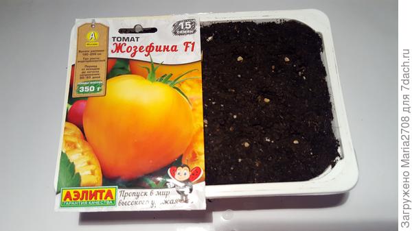 Жозефина