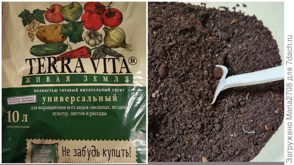 Грунт