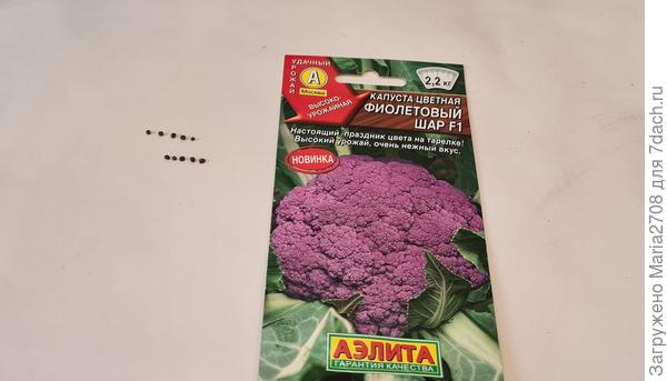 Семена