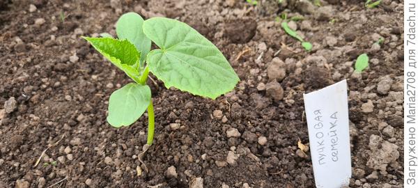 На постоянном месте