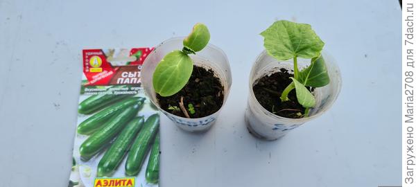 Готовы к переезду