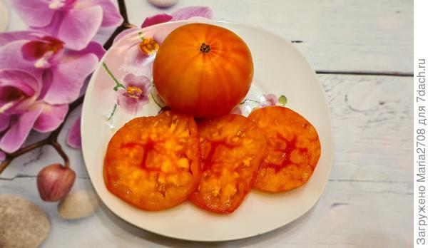 Хурма НК в разрезе